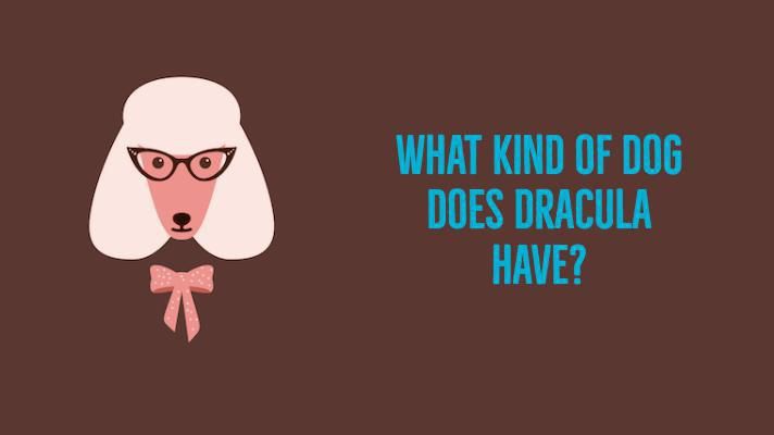 What kind of dog does Dracula have?