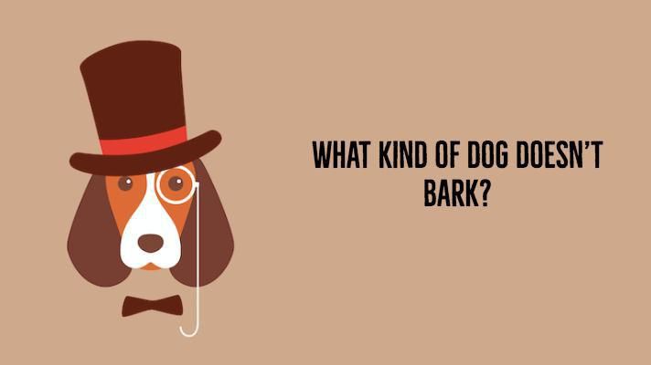 What kind of dog doesn’t bark?