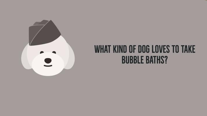 What kind of dog loves to take bubble baths?