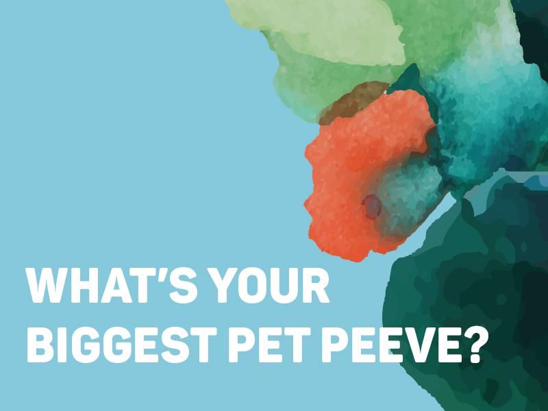What’s Your Biggest Pet Peeve?