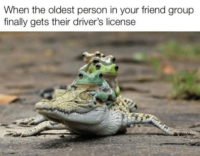 When the oldest person in your friend group gets a license