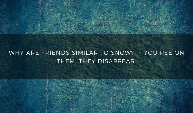 Why are friends similar to snow? They both disappear if you pee on them.