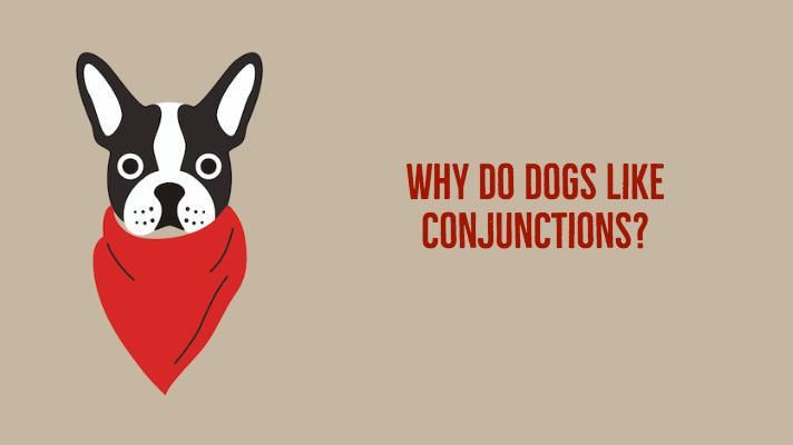 Why do dogs like conjunctions?