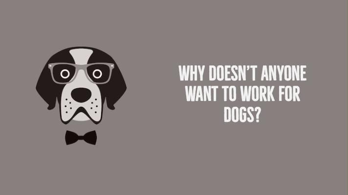 Why doesn’t anyone want to work for dogs?