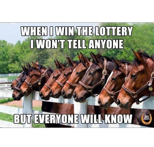 Winning the lottery meme