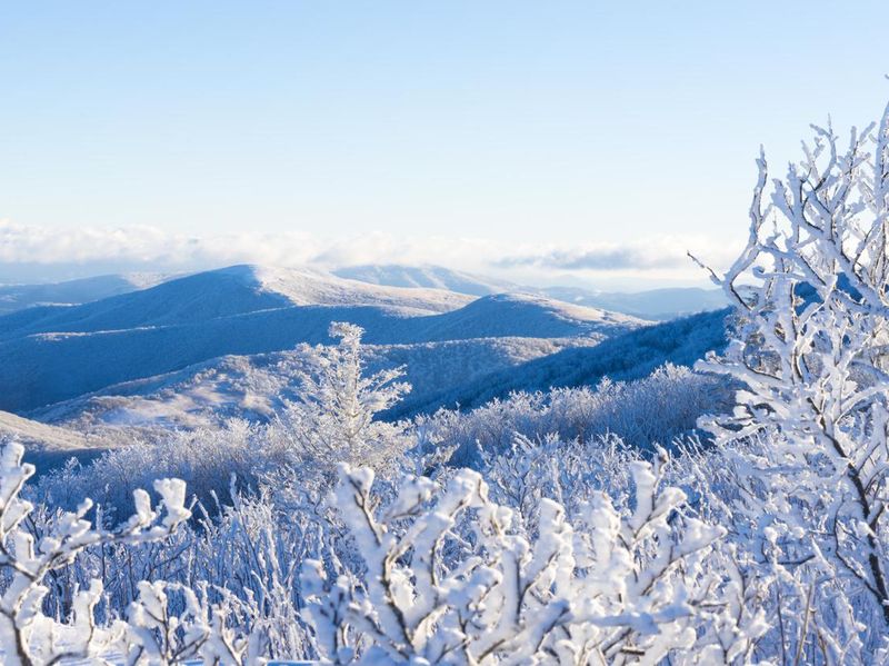 Winter In The Blue Ridge Mountains