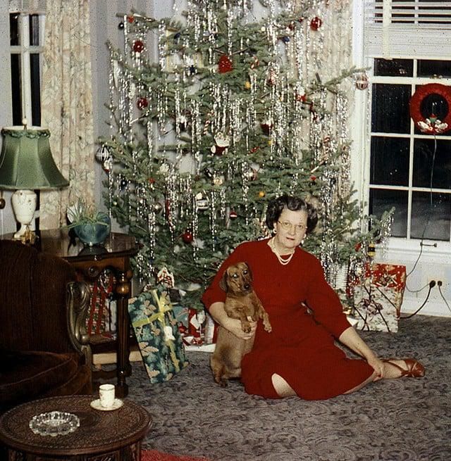 Woman and dog under the tree