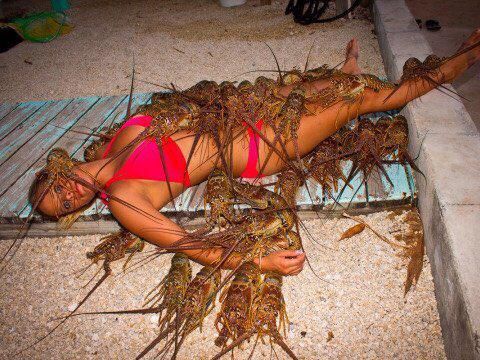 woman covered in lobsters