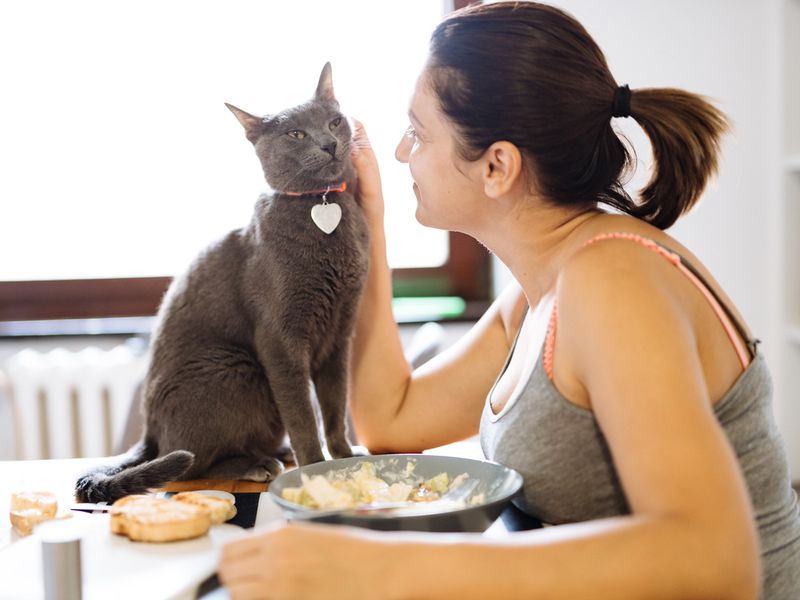 Woman cuddling cat in kitchen while eating lunch