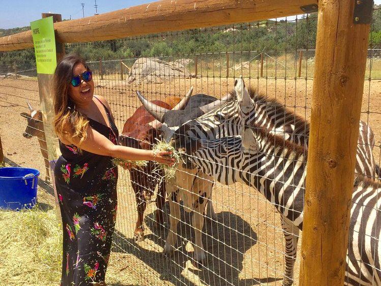 Woman feeding a zebra at Children’s Nature Retreat