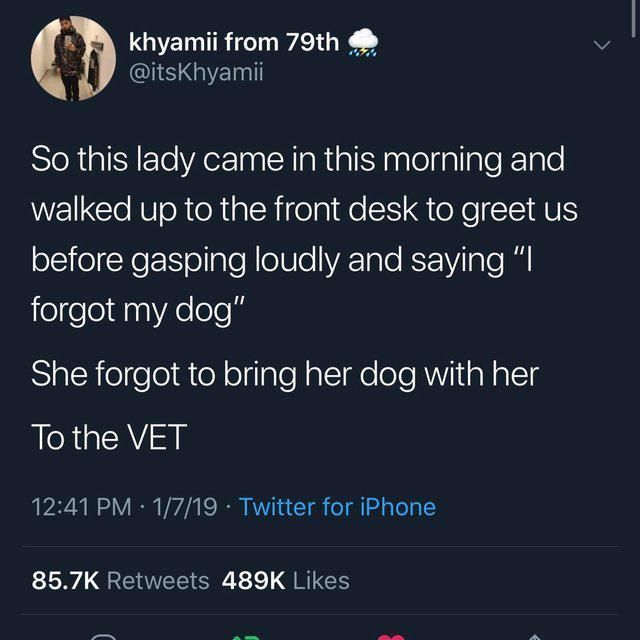 Woman forgot to bring her dog with her to the vet