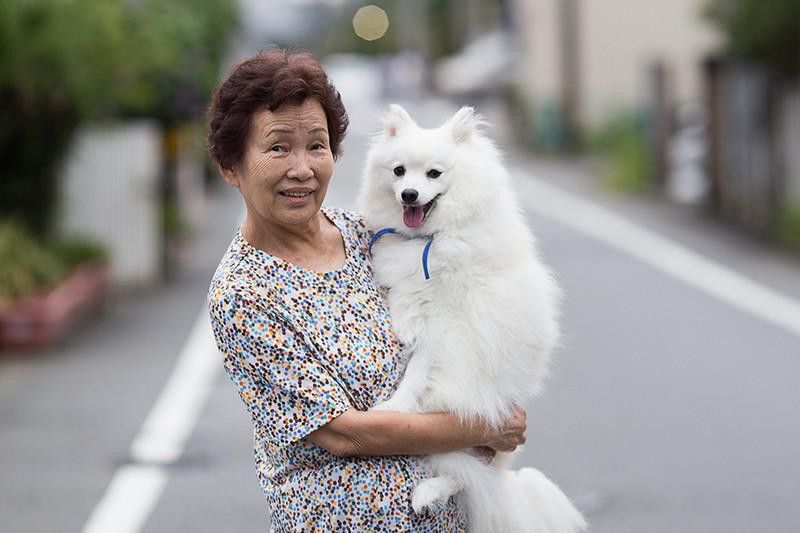 Woman holding Japanese Spitz dog