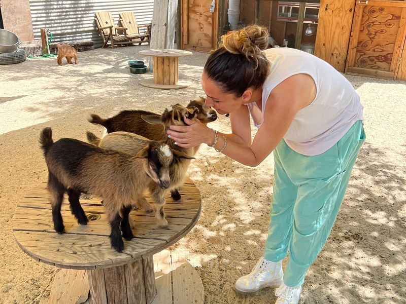 Woman kissing goats at Kfar Saba Urban Farm