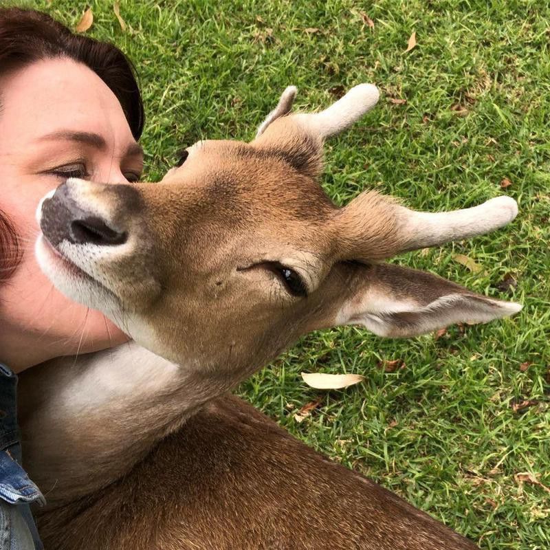 Woman kissing her pet deer