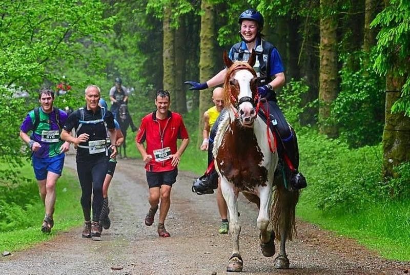 Woman on a horse followed by men jogging marathon