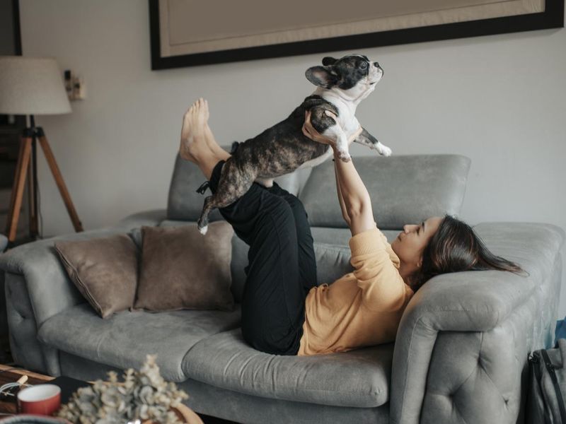 Woman playing with french bulldog