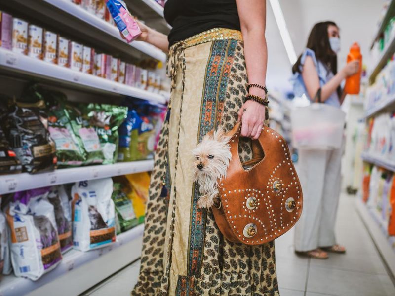 Woman shopping in a supermarket with her puppy in a bag