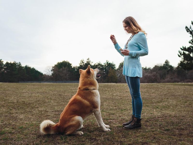 Woman teaching her dog skills