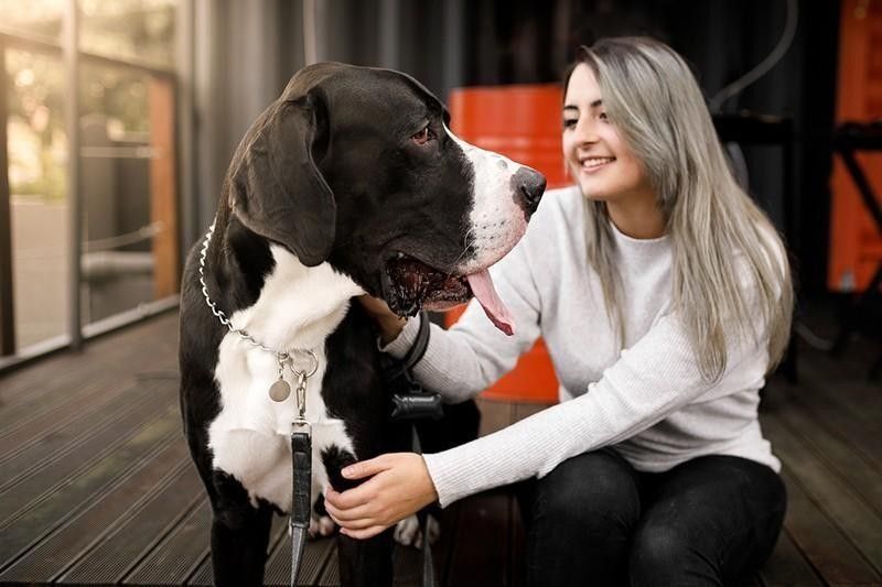 Woman with a Great Dane, a calm dog breed