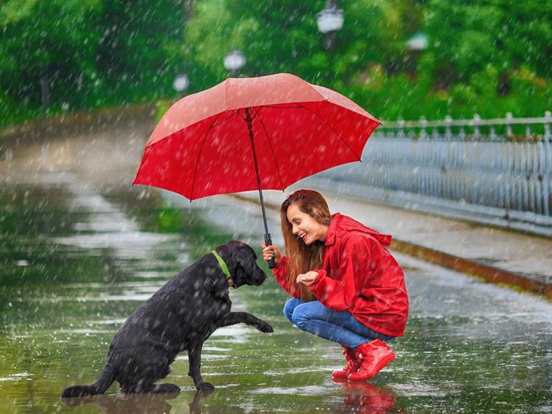 Woman with umbrella and dog