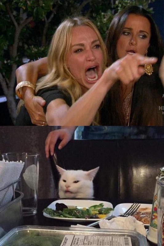 'Woman yelling at cat' meme