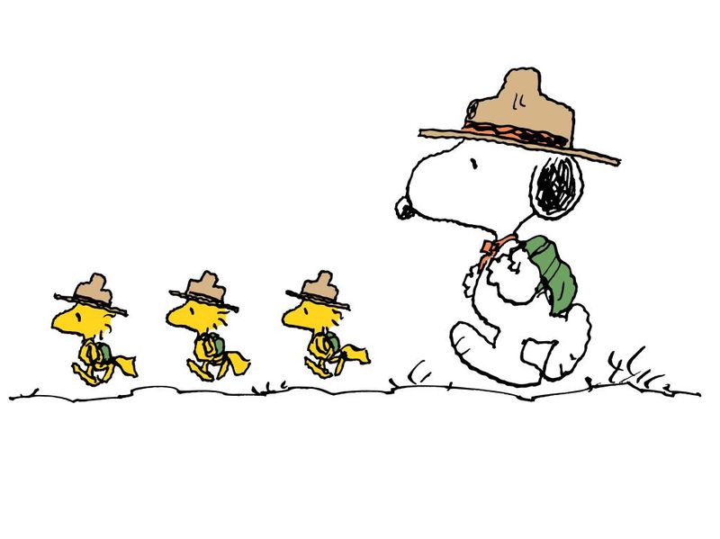 Woodstock in peanuts comic