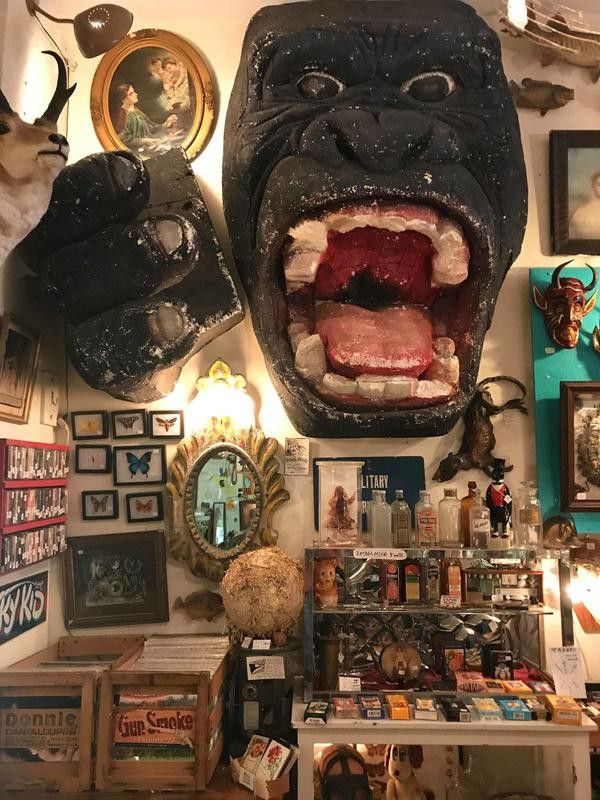 Woolly Mammoth Antiques and Oddities in Chicago