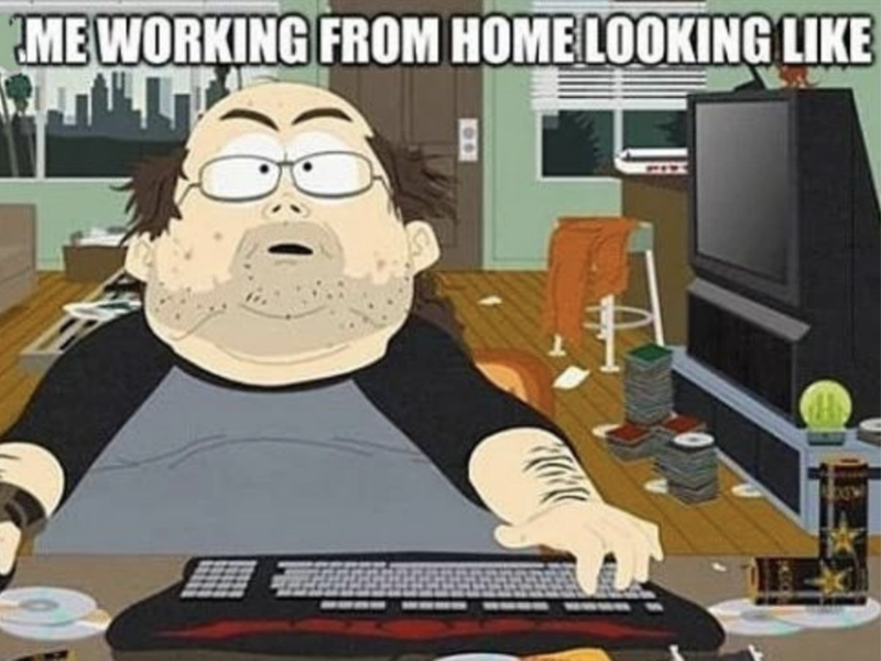 Working from home memes