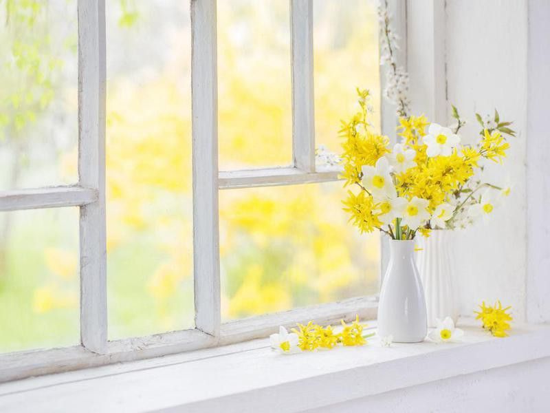 Yellow spring flowers on windowsill