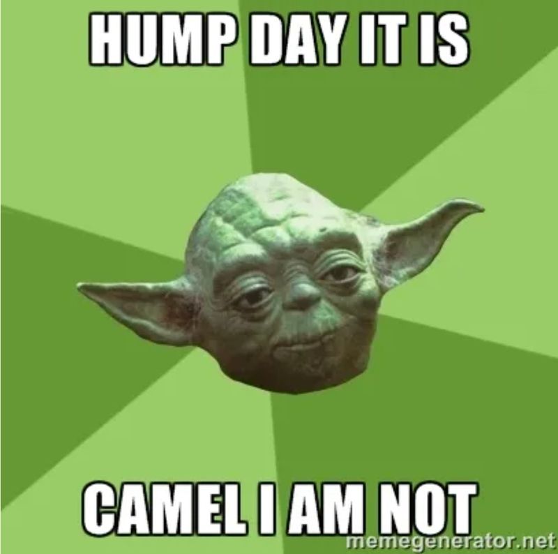 Yoda hump day meme