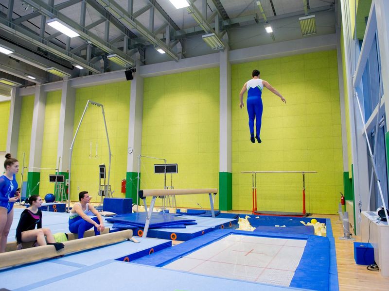 Young Adult Gymnastics Athletes Practicing on Trampoline