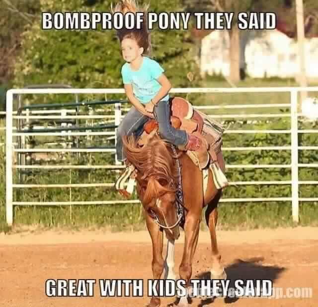 Young girl riding pony meme