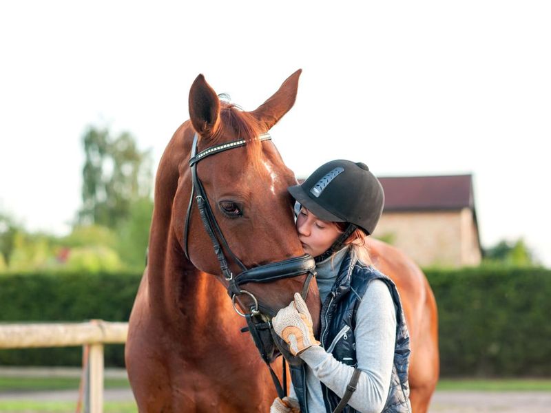Young teenage girl equestrian kissing her chestnut horse.