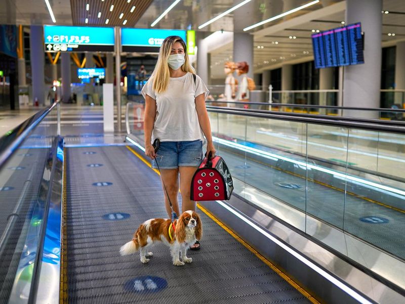 Young woman at the airport with her dog and carry-on bag
