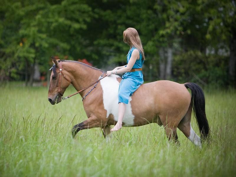 Young woman on Tennessee Walking Horse