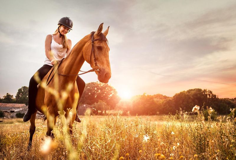 Young woman riding a horse in nature