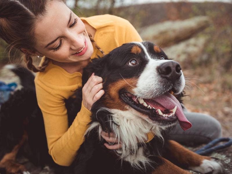 Young woman with bernese mountain dog
