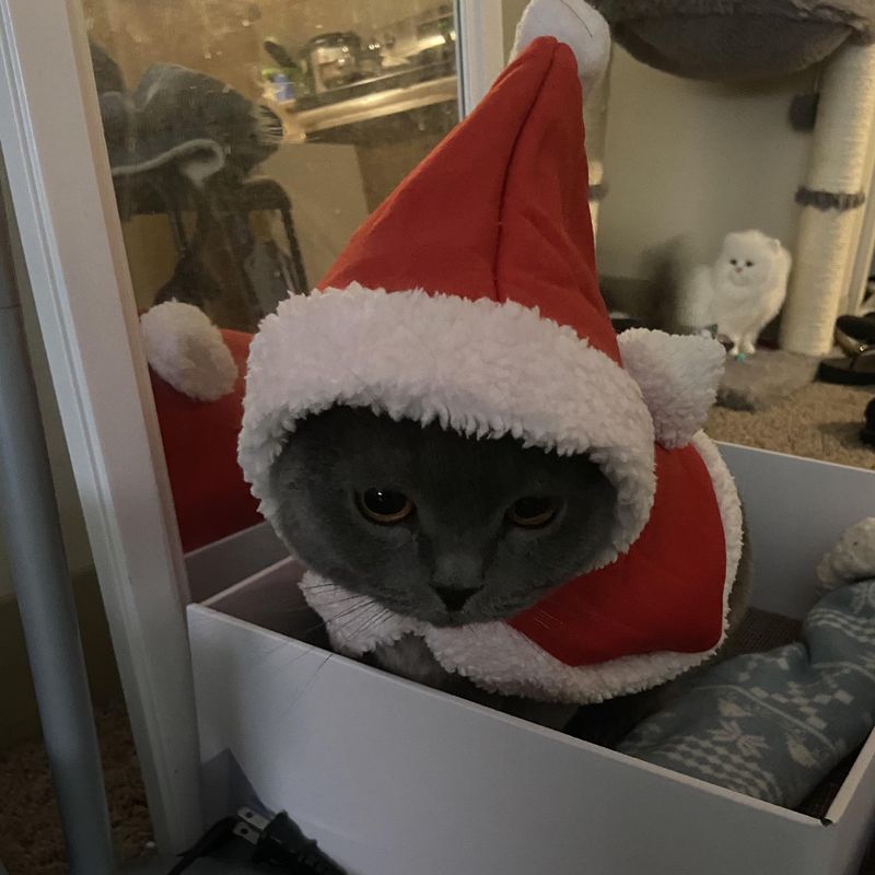 Zhenpony Christmas Cat Costume