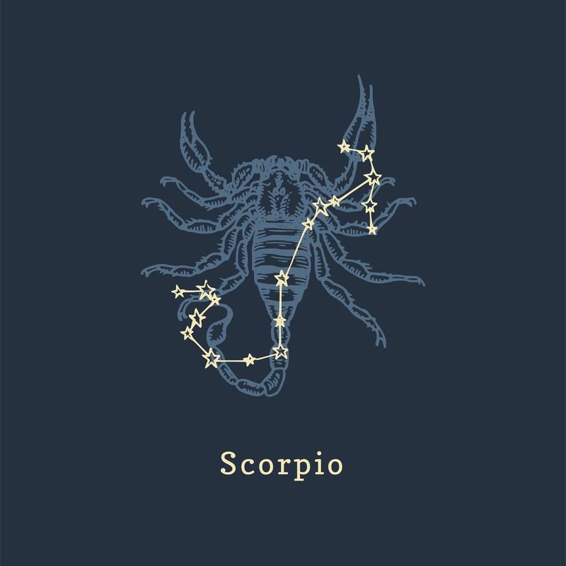 Zodiac constellation of Scorpion