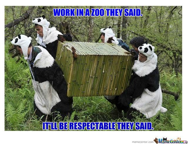 Zookeepers in panda suits